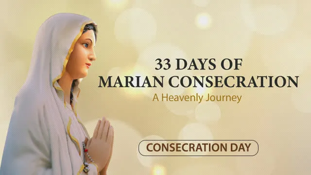 Total Surrender: Find True Freedom Through Marian Consecration
