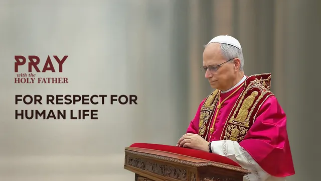 Pope's monthly intention for July 2026