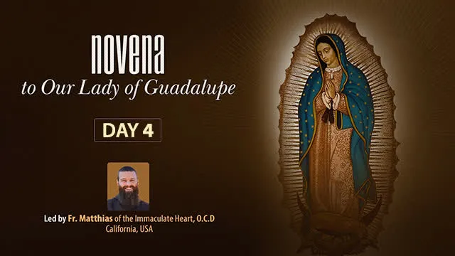 Our Lady of Guadalupe: 4 Days In - Find Comfort & Solace